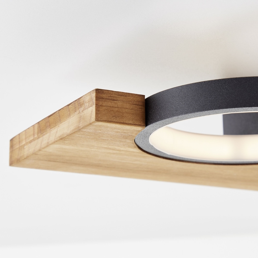 Brilliant - LED Griestu lampa CHEESY LED/14W/230V priede - FSC sertificēts