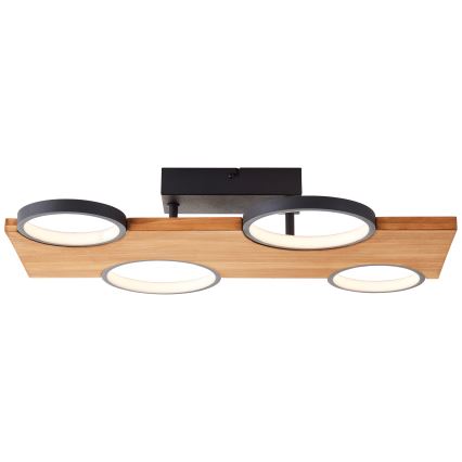 Brilliant - LED Griestu lampa CHEESY LED/28W/230V priede