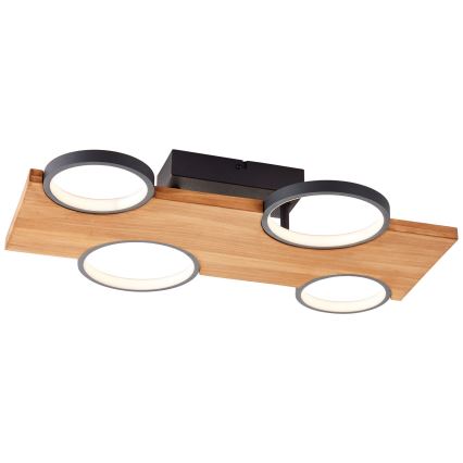 Brilliant - LED Griestu lampa CHEESY LED/28W/230V priede