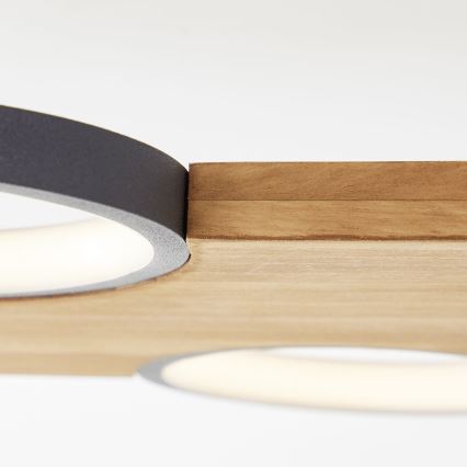 Brilliant - LED Griestu lampa CHEESY LED/28W/230V priede