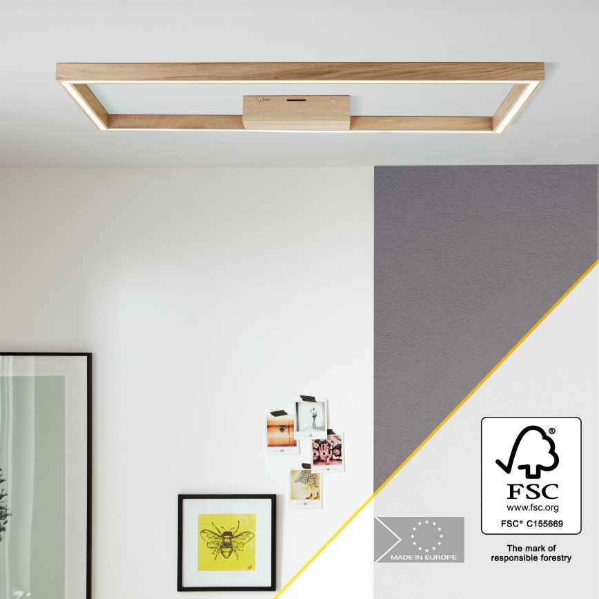 Brilliant - LED Griestu lampa DELGROSSO LED/24W/230V 3000K ozols