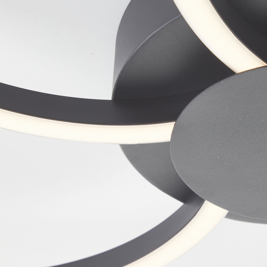 Brilliant - LED Aptumšojama griestu lampa FICO LED/32W/230V 3000-6500K d. 65 cm melna + tālvadības pults