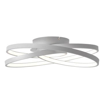 Brilliant - LED Griestu lampa LABYRINTH LED/40W/230V d. 39,5 cm pelēka