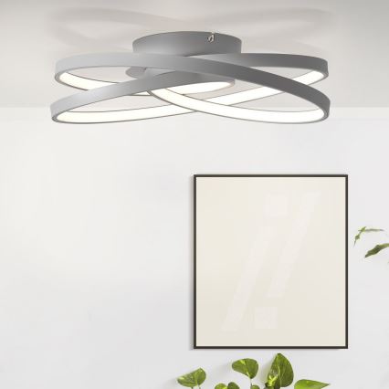 Brilliant - LED Griestu lampa LABYRINTH LED/40W/230V d. 39,5 cm pelēka