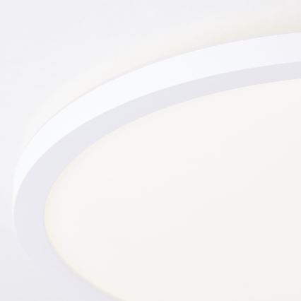 Brilliant - LED griestu lampa MILTON LED/18W/230V diam. 29,3 cm balta