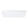 Brilliant - LED griestu lampa MILTON LED/24W/230V 42x42 cm balta