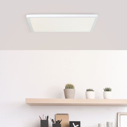 Brilliant - LED griestu lampa MILTON LED/24W/230V 42x42 cm balta