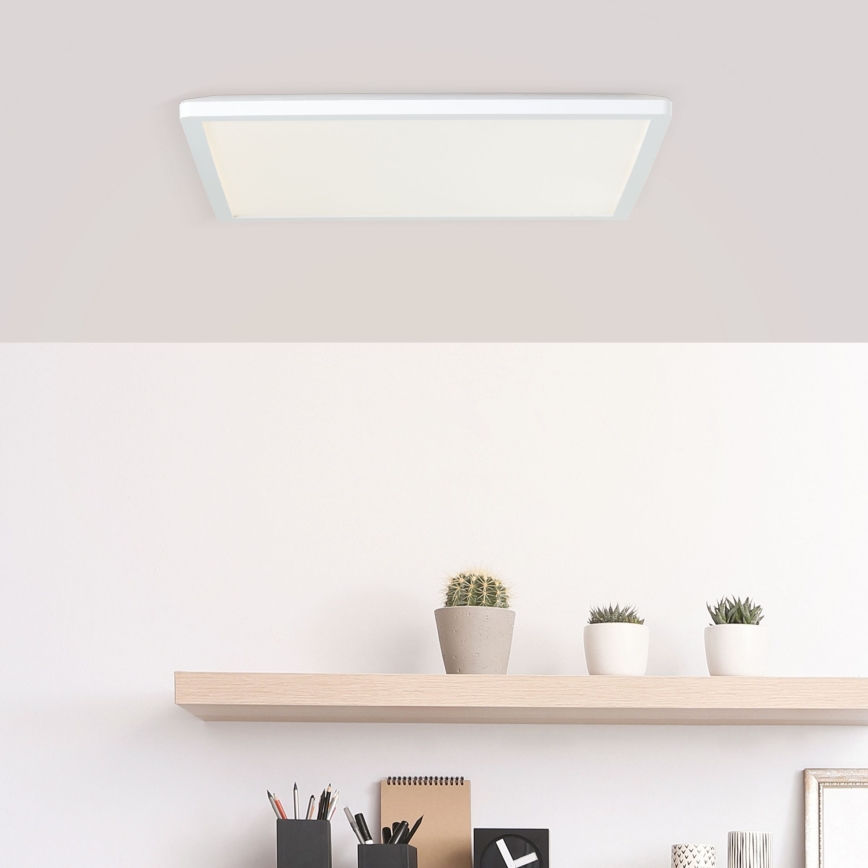 Brilliant - LED griestu lampa MILTON LED/24W/230V 42x42 cm balta