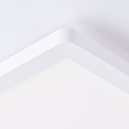 Brilliant - LED griestu lampa MILTON LED/24W/230V 42x42 cm balta