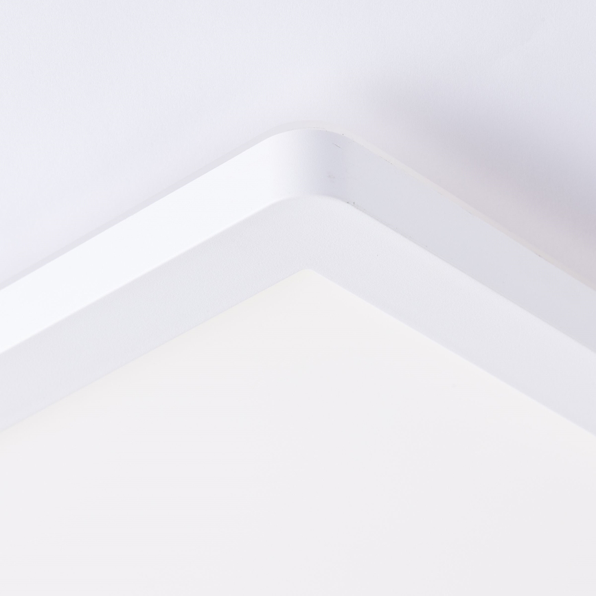 Brilliant - LED griestu lampa MILTON LED/24W/230V 42x42 cm balta