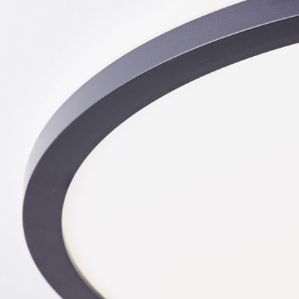 Brilliant - LED griestu lampa MILTON LED/24W/230V Ø 42 cm melna