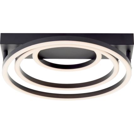 Brilliant - LED griestu lampa PEDLEY LED/36W/230V melnā
