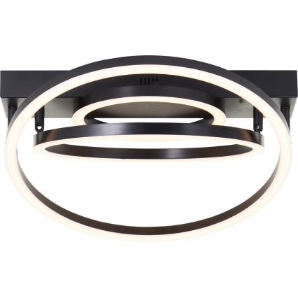 Brilliant - LED griestu lampa PEDLEY LED/36W/230V melnā