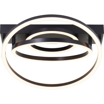 Brilliant - LED griestu lampa PEDLEY LED/36W/230V melnā