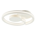 Brilliant - LED griestu lampa REVOLA LED/33W/230V 3000/4000/6500K Ø 40 cm balta