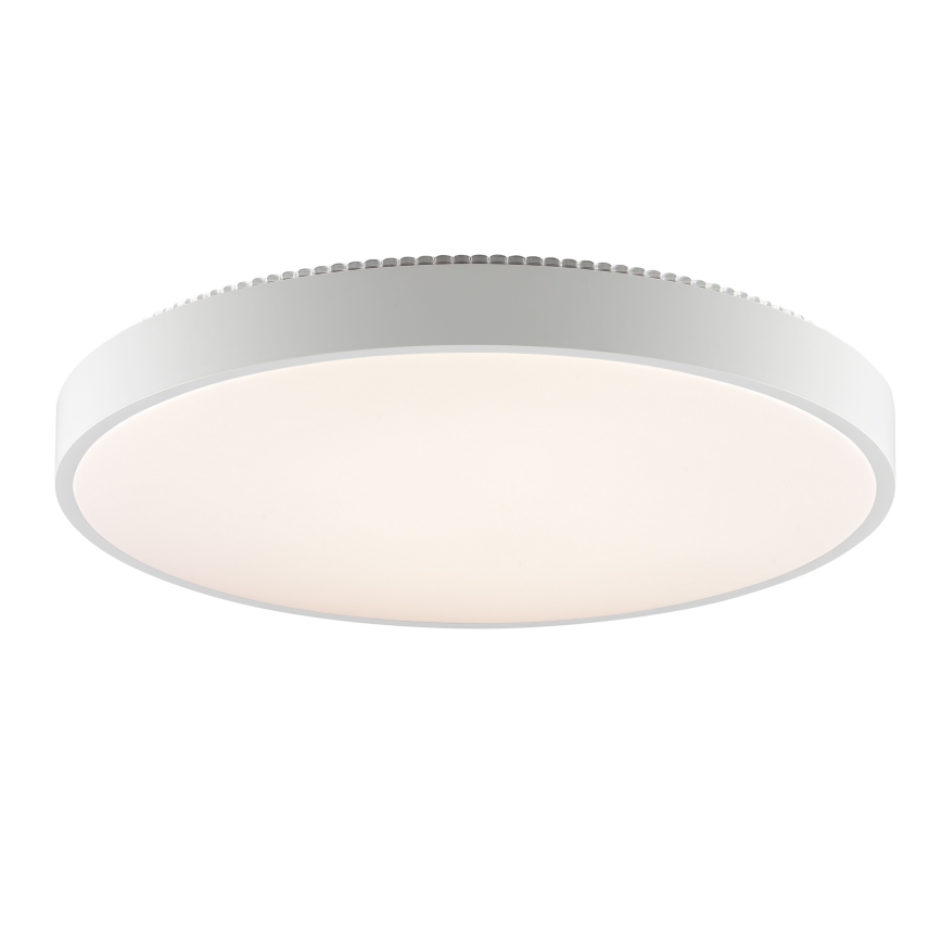 Brilliant - LED griestu lampa SOLISTRA LED/36W/230V Ø 54 cm balta