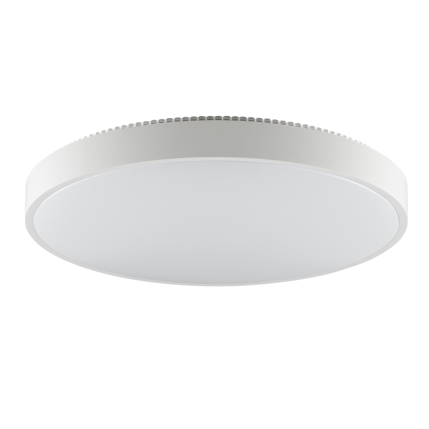 Brilliant - LED griestu lampa SOLISTRA LED/36W/230V Ø 54 cm balta