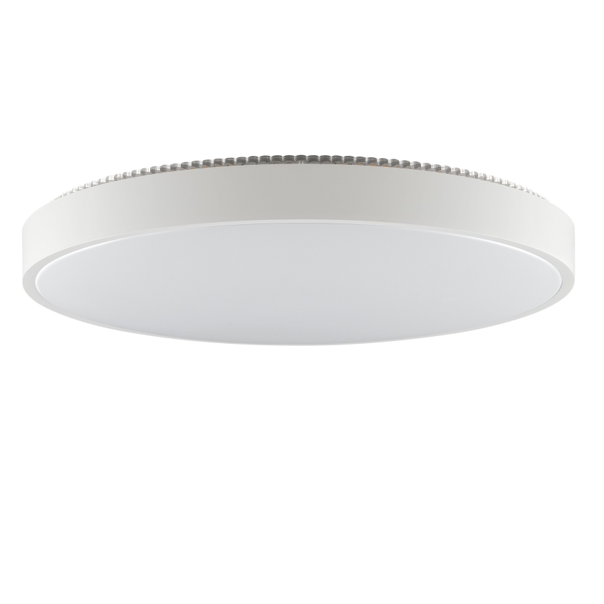 Brilliant - LED griestu lampa SOLISTRA LED/36W/230V Ø 54 cm balta