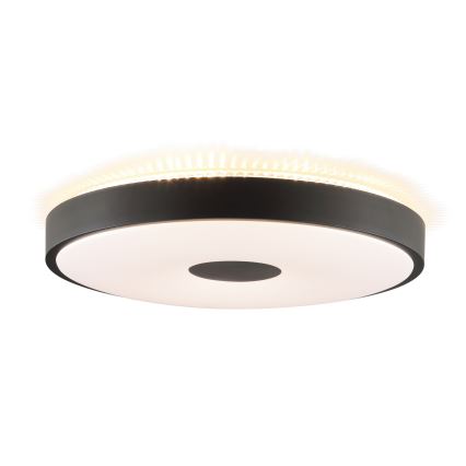 Brilliant - LED griestu lampa TAVIS LED/24W/230V Ø 44,5 cm melna
