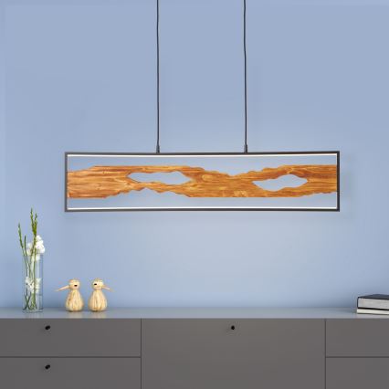 Brilliant - LED Lustra ar auklu CHAUMONT LED/20W/230V priede - FSC sertificēts
