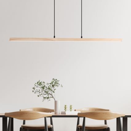 Brilliant - LED lustra uz troses ARION LED/22W/230V priede