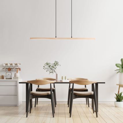 Brilliant - LED lustra uz troses ARION LED/22W/230V priede