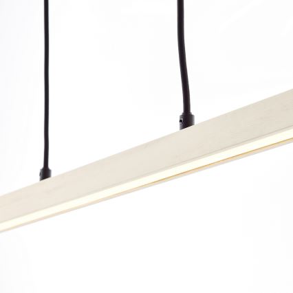 Brilliant - LED lustra uz troses ARION LED/22W/230V priede