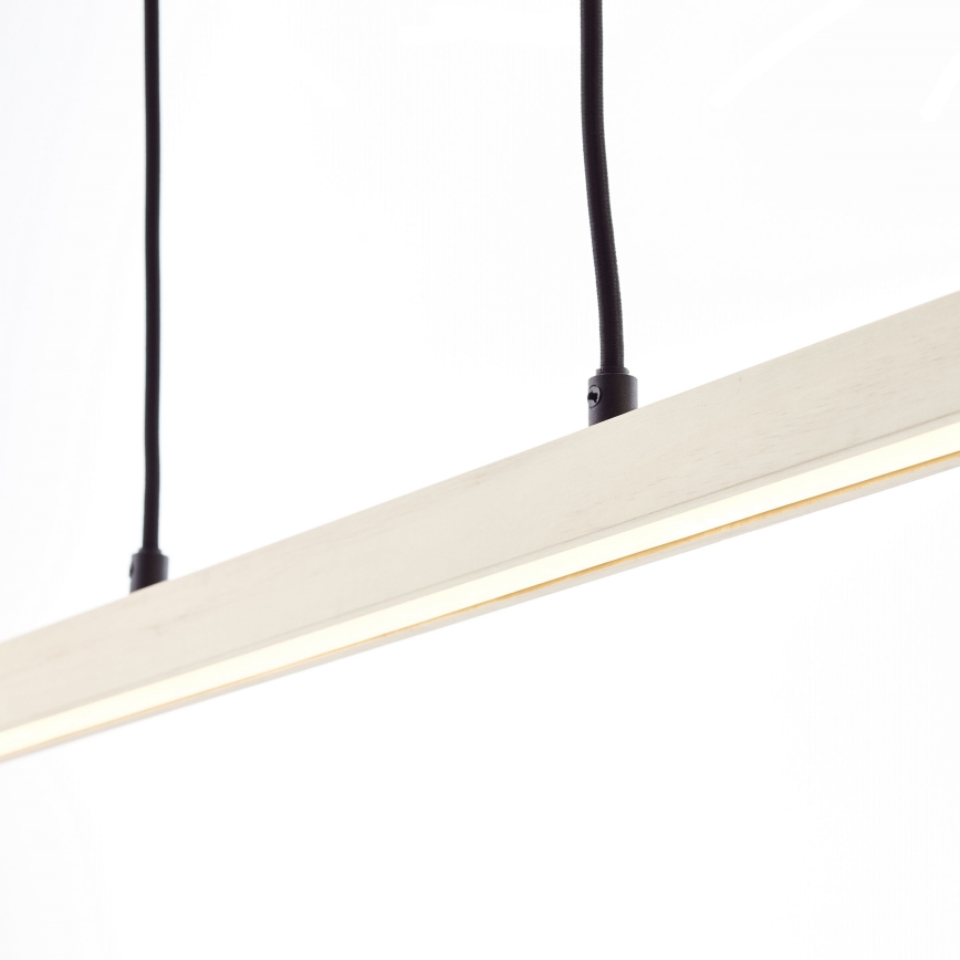 Brilliant - LED lustra uz troses ARION LED/22W/230V priede