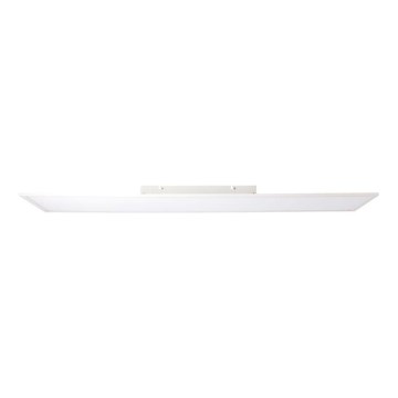 Brilliant - LED Panelis CHARLA LED/40W/230V 29,5x119,5 cm 2700K
