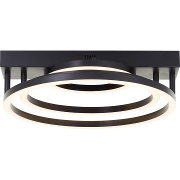 Brilliant - LED Pielāgojams griestu apgaismojums PEDLEY LED/36W/230V melns