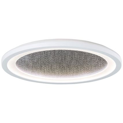 Brilliant - LED RGBW Aptumšojama griestu lampa TANIDA LED/22W/230V 3000-6500K+ tālvadības pults