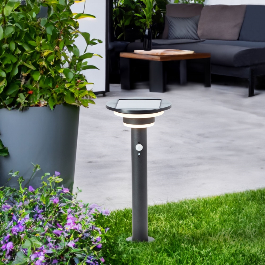 Brilliant - LED Saules enerģijas lampa ar sensoru GARVINA LED/3W/3,7V 45 cm IP44 melna