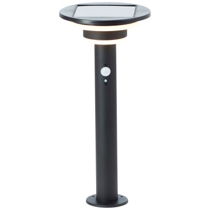 Brilliant - LED Saules enerģijas lampa ar sensoru GARVINA LED/3W/3,7V 45 cm IP44 melna