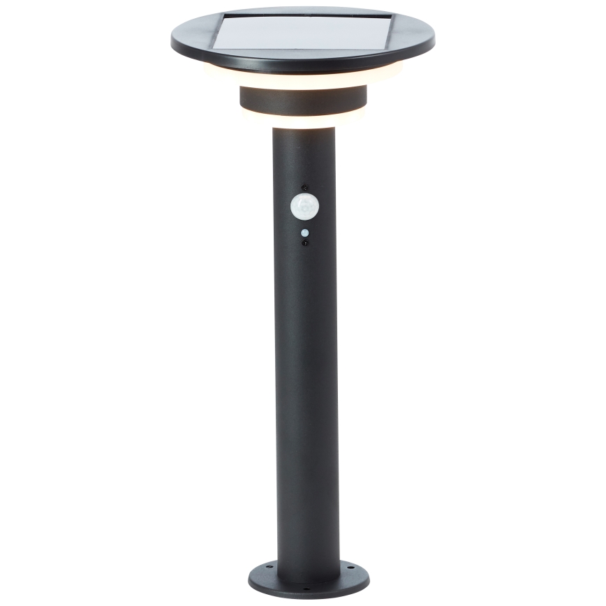Brilliant - LED Saules enerģijas lampa ar sensoru GARVINA LED/3W/3,7V 45 cm IP44 melna