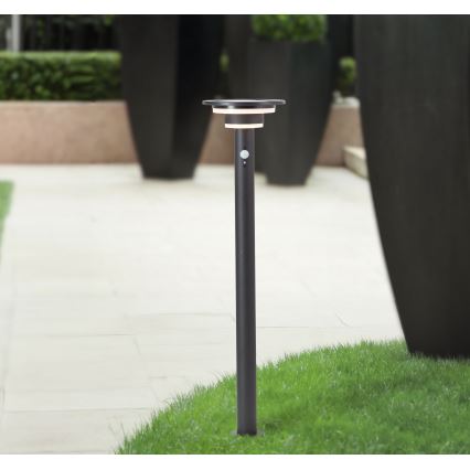 Brilliant - LED Saules enerģijas lampa ar sensoru GARVINA LED/3W/3,7V 85 cm IP44 melna