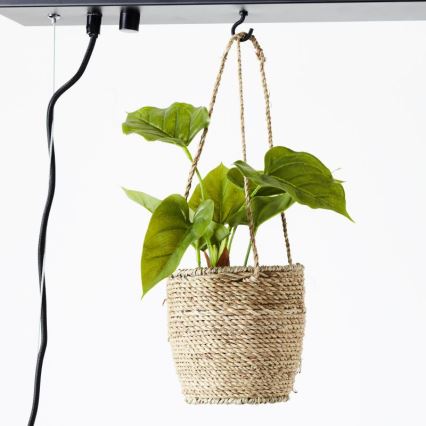 Brilliant - Lustra uz kabeļa BANKWOOD 5xE27/28W/230V topols