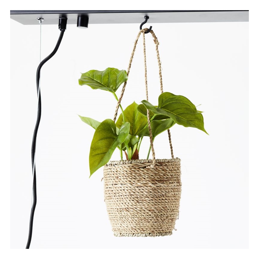 Brilliant - Lustra uz kabeļa BANKWOOD 5xE27/28W/230V topols