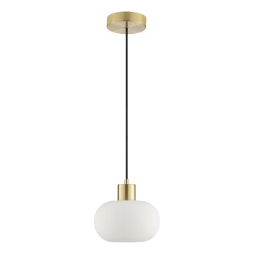 Brilliant - Lustra uz vada FANNY 1xE27/20W/230V Ø 22 cm misiņš