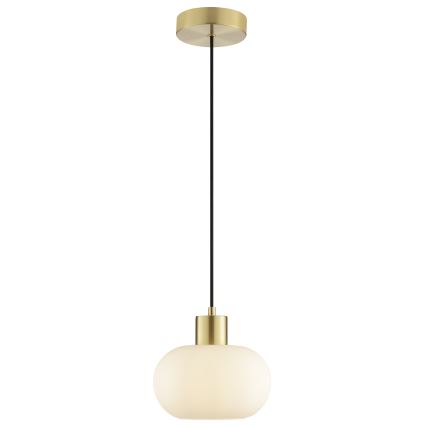 Brilliant - Lustra uz vada FANNY 1xE27/20W/230V Ø 22 cm misiņš