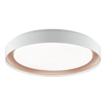 Brilliant - regulējama LED griestu lampa WALDO LED/36W/230V 3000-6500K Ø 48,5 cm baltā/rožu zelta + tālvadība