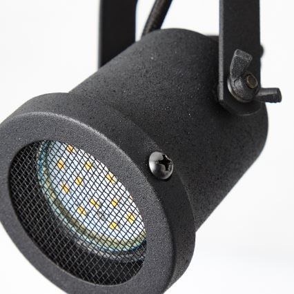 Brilliant - Regulējams griestu gaismeklis INGE 2xGU10/6W/230V priede