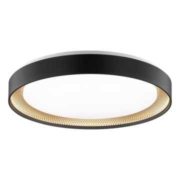 Brilliant - Regulējams LED griestu gaismeklis WALDO LED/36W/230V 3000-6500K diametrs 48,5 cm melns/zelts + tālvadības pults