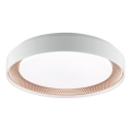 Brilliant - regulējams LED griestu lukturis WALDO LED/24W/230V 3000-6500K Ø 38,5 cm balts/rožu zelts + tālvadības pults