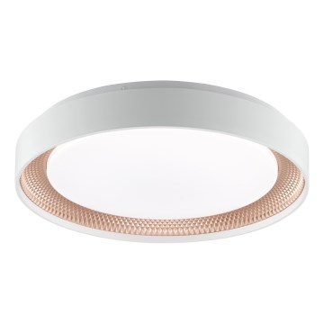 Brilliant - regulējams LED griestu lukturis WALDO LED/24W/230V 3000-6500K Ø 38,5 cm balts/rožu zelts + tālvadības pults