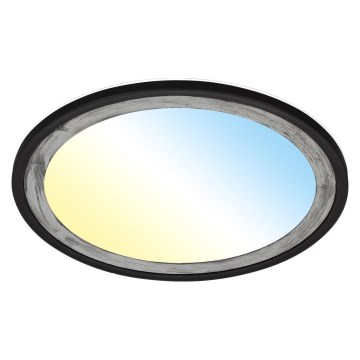 Brilo - LED Aptumšojama griestu lampa SLIM LED/22W/230V 2700-6500K + tālvadības pults
