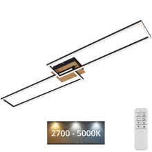 Brilo - LED Aptumšojama virsapmetuma lustra FRAME 2xLED/20W/230V 2700-5000K + tālvadības pults