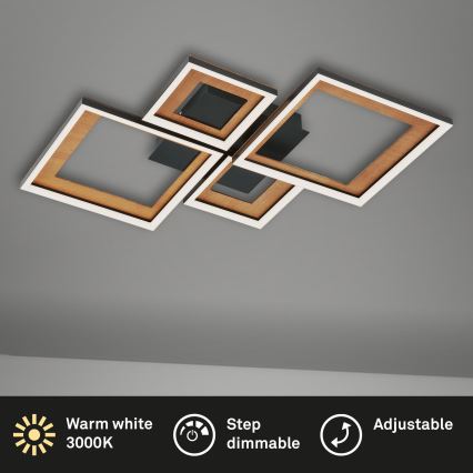 Brilo - LED Aptumšojama virsapmetuma lustra FRAME LED/38W/230V