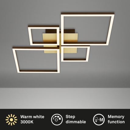 Brilo - LED Aptumšojama virsapmetuma lustra FRAME LED/44W/230V