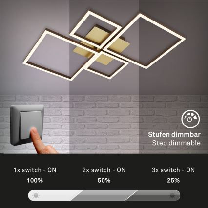 Brilo - LED Aptumšojama virsapmetuma lustra FRAME LED/44W/230V