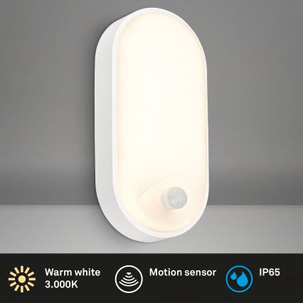 Brilo - LED āra sienas lampa ar kustības un krēslas sensoru RUCH LED/12W/230V IP65 balta
